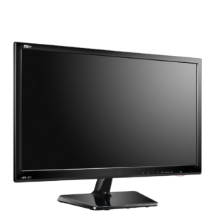 22-inch LCD Screen