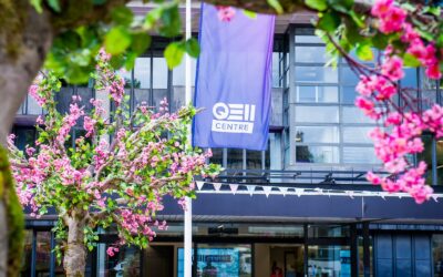 International Women’s Day – QEII Women in business Q&A